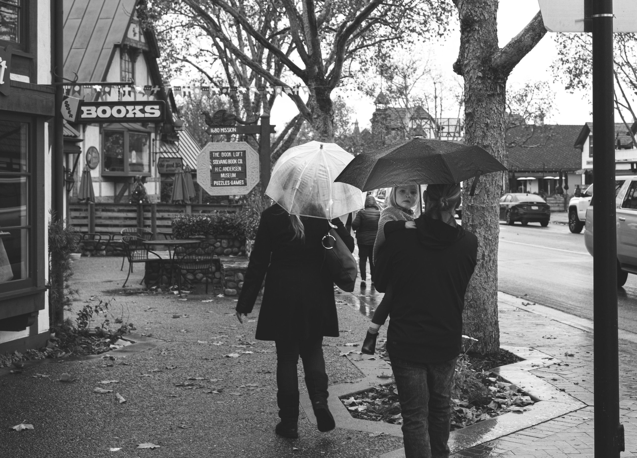 202601pexels-photo-10842819