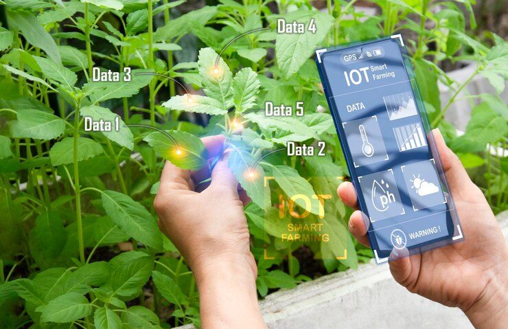202601concept-using-ai-smart-farming_150418-1063