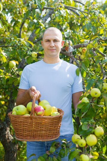 202601middle-aged-man-with-apple-harvest_1398-4844